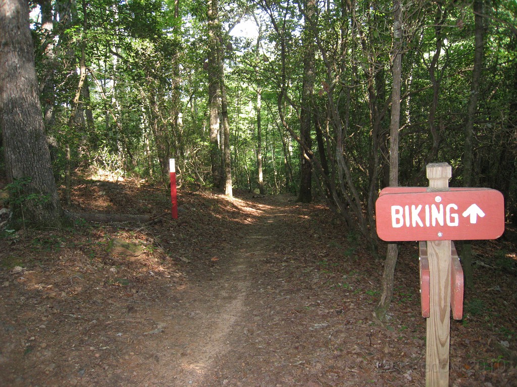 Helen to Unicoi 2010 0105.jpg - The trail from Helen Georgia to the lodge at Unicoi State Park makes a fun six mile run. July 2010 and 90 degrees makes it a little bit more of a workout.